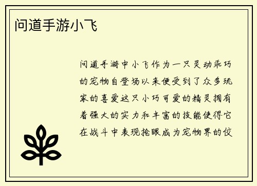 问道手游小飞
